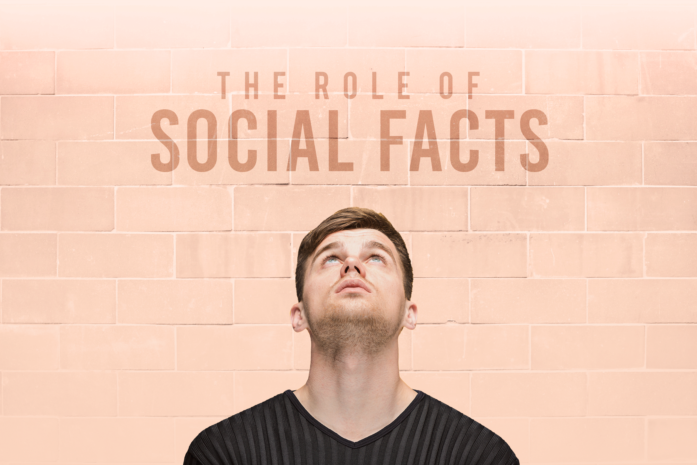 The Role of Social Facts